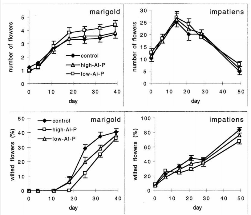 Figures 1 and 2 from the bedding plant study linked above, showing increased flower production and less wilting in plants grown with less available phosphorus.